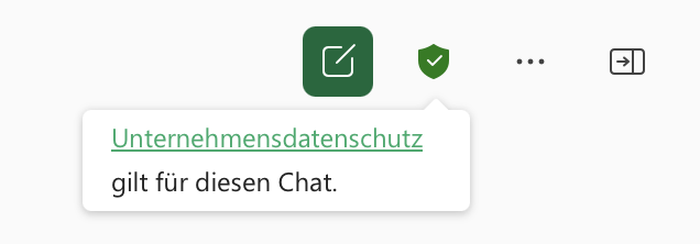 Datenschutz und Microsoft Copilot-1
